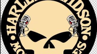 Harley Davidson Coaster Skull Design – 55cm