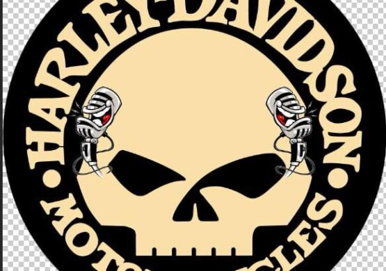 Harley Davidson Coaster Skull Design – 55cm