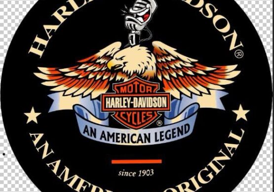 Harley Davidson Coaster Eagle Design – 55cm